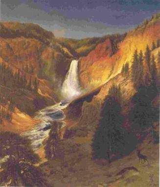 Falls of the Grand Canyon of the Yellowstone River