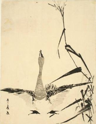 Untitled (Wild Goose with Pampas Grass)