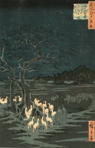New Year's Eve Foxfires at Nettle Tree, Oji – Works – Tacoma