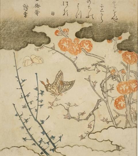 Plum Blossoms and Butterflies