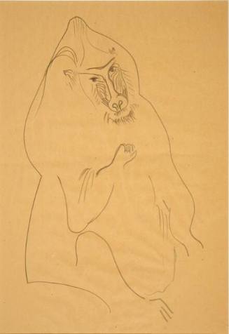 Untitled (baboon)