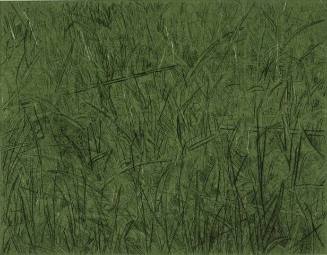Green Grass I