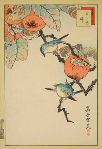 Birds Perched in Persimmon Branches
