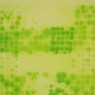 "Four Red Tests" in acid green