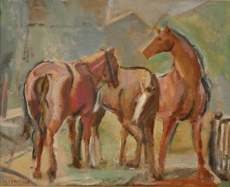 Group of Horses