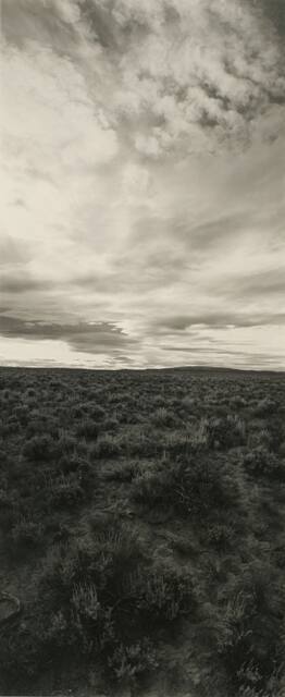 Harney Desert--Oregon