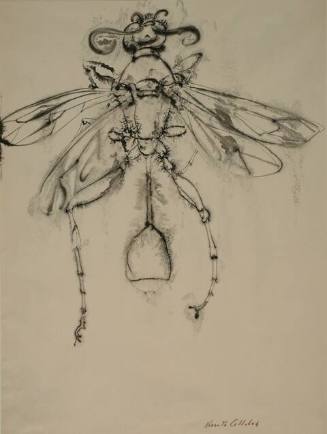 Untitled (Dragonfly)
