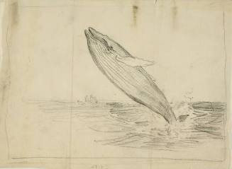 Untitled (Breaching whale, Alaska)