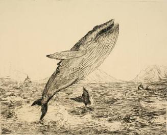 Untitled (Breaching whale, Alaska)