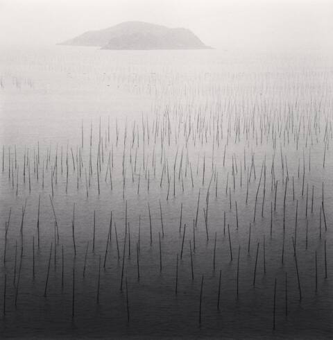 Seaweed Farms, Study 5, Xiapu, Fujian, China