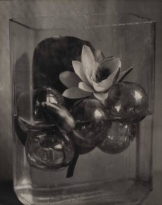 Untitled (blossom and glass balls)