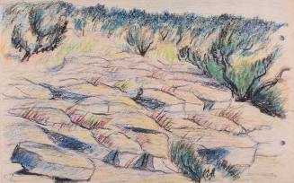 Untitled (stony hillside and sagebrush near Minidoka WRA Center, Hunt, Idaho))