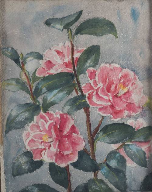 Untitled (pink peonies)